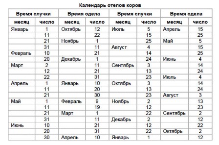 24 Недели плод поменять положение. Предлежание плода 2017 год - российские сериалы - Кино-Театр. РУ