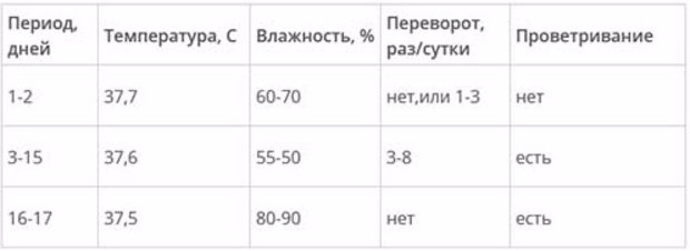 Инкубация перепелиных яиц в домашних условиях температура и влажность Инкубация перепелиных яиц в домашних условиях температура и влажность