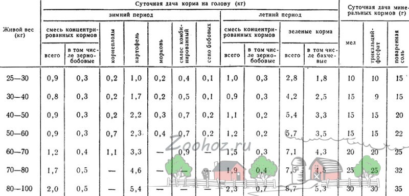 Рационы кормления свиней в домашних условиях Рационы кормления свиней в домашних условиях