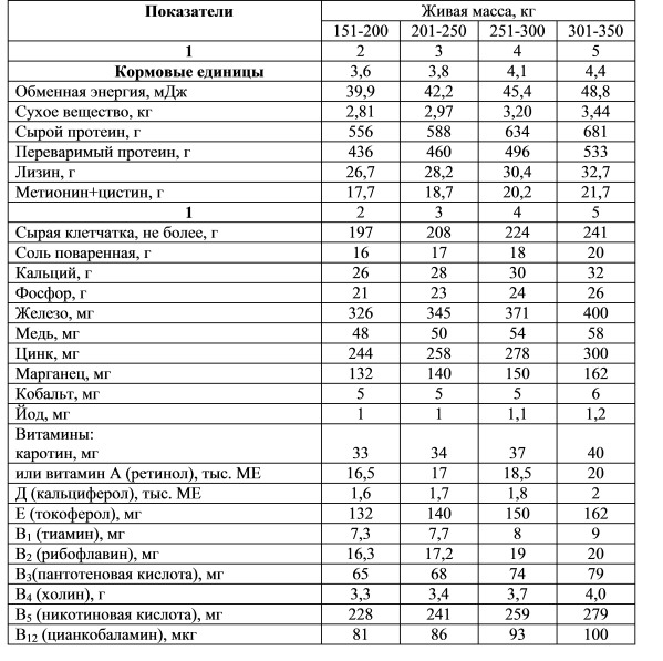 Рацион супоросных свиноматок