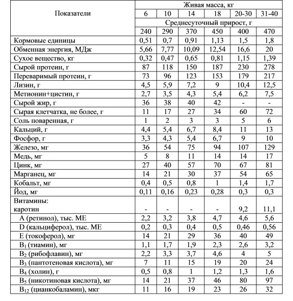 Рацион супоросных свиноматок