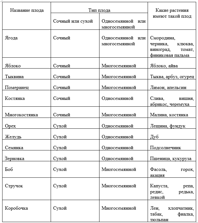 Наименование тип. Биология классификация плодов таблица. Таблица классификация плодов биология 6. Таблица название плода Тип плода. Классификация и характеристика плодов таблица.