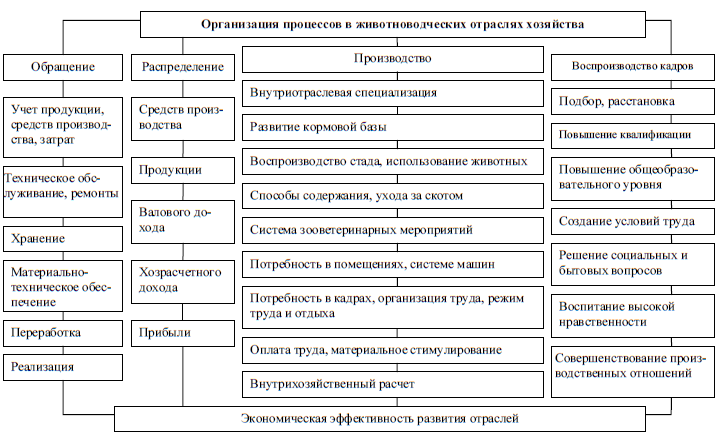 Схема структура сельскохозяйственного предприятия схема