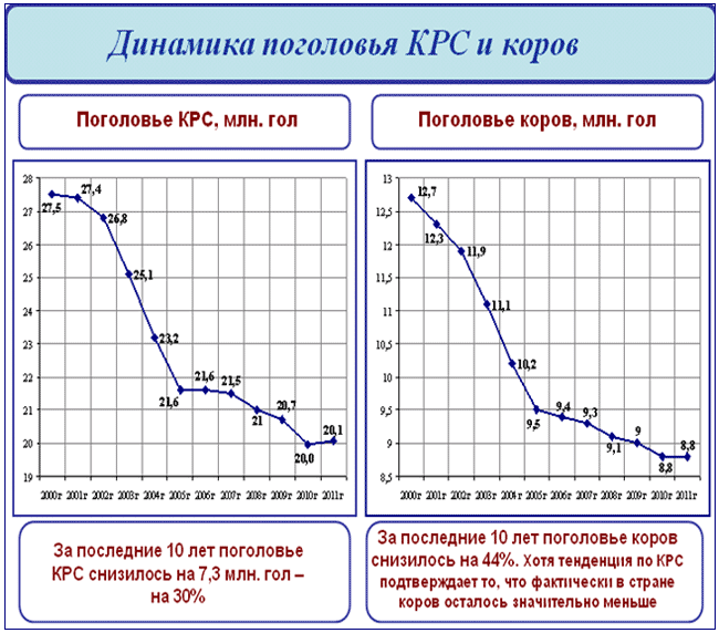 Область динамика. Поголовье КРС по годам. Поголовье КРС В России динамика. Динамика поголовья крупного рогатого скота в России. Динамика поголовья крупного рогатого скота в России за 10 лет.